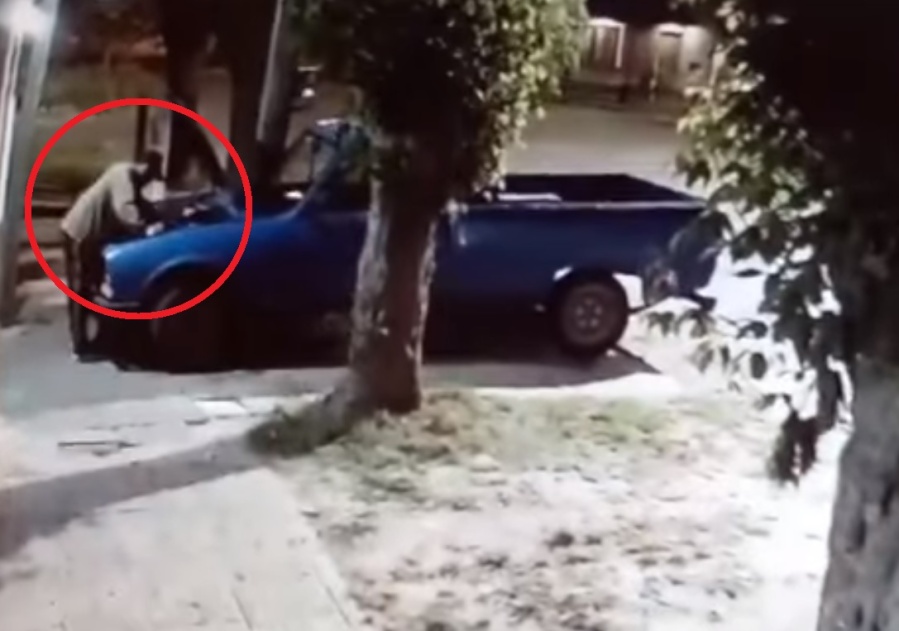 Con total tranquilidad, así robaba un ladrón en Los Hornos esta madrugada: quedó filmado