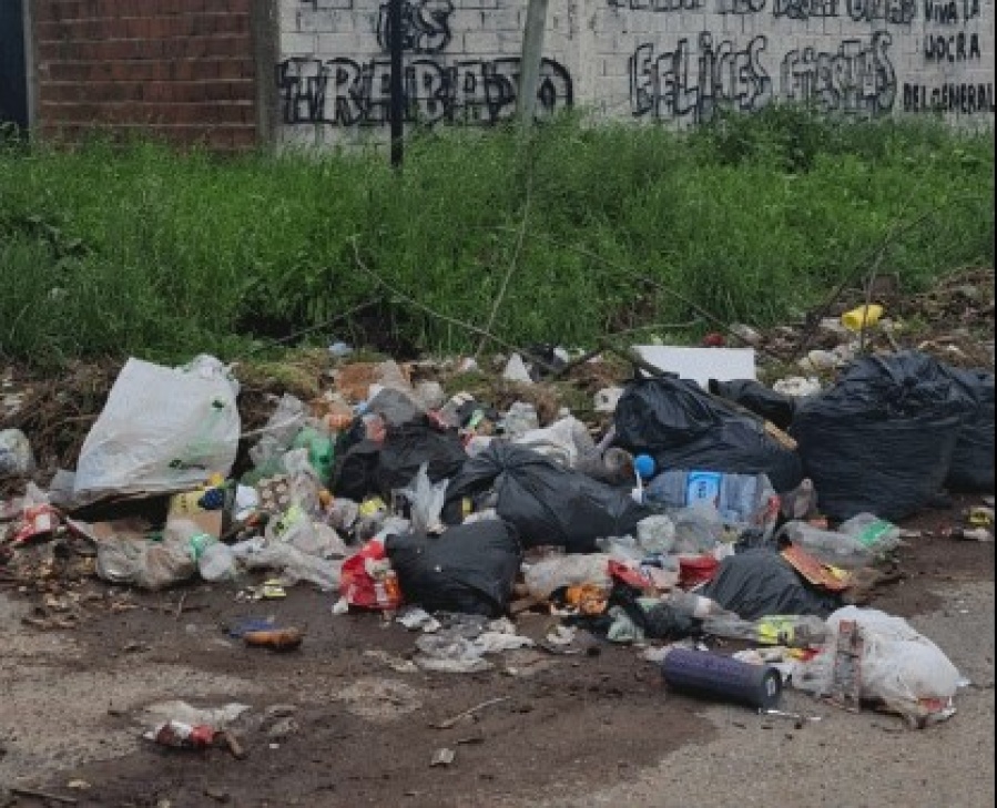 Vecinos del barrio de San Carlos alertan por un basural ubicado en calle 153 y 50 bis