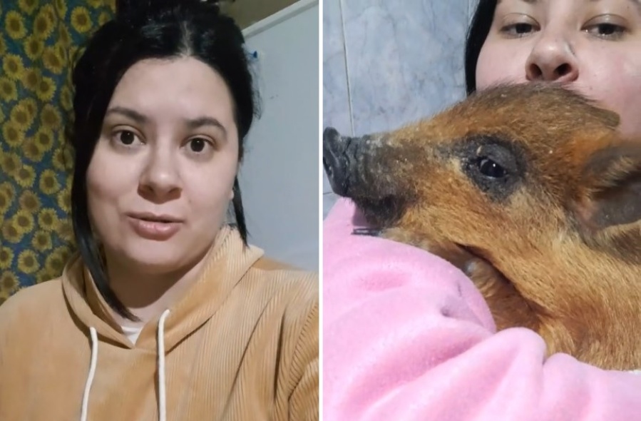 Rescató a un ”chancho bebé” pero se llevó una linda sorpresa y el video fue viral: ”Mirá los colmillos”