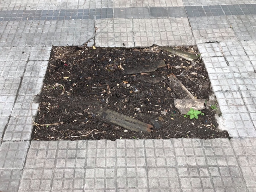 Vecinos de Barrio Norte están cansados de las veredas rotas