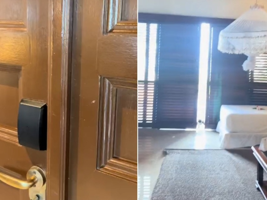 Apareció un visitante extraño mientras mostraba su casa de verano y gritó del susto: ”Te dio la bienvenida”