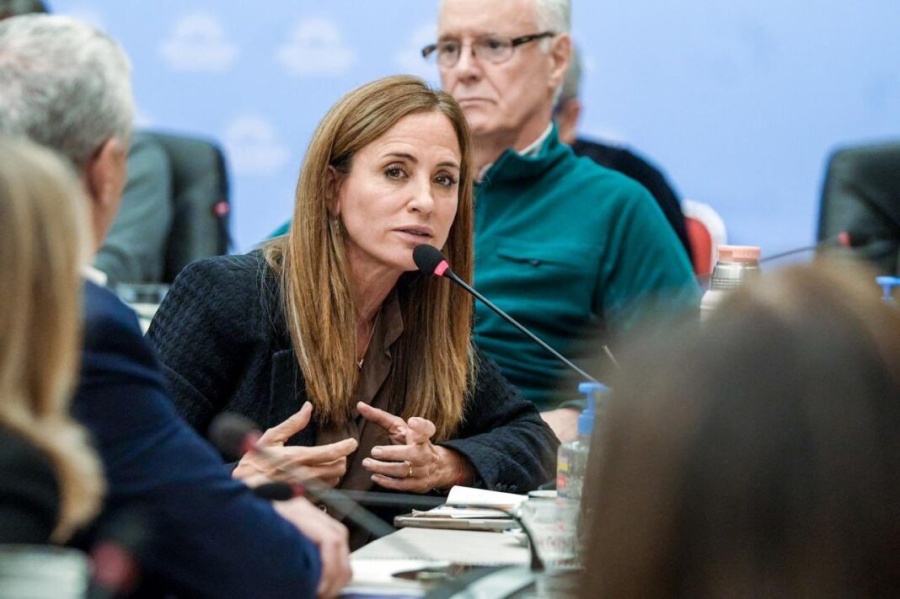 Tolosa Paz: “Vamos a seguir peleando hasta que la Ley de Emergencia en Discapacidad se ponga en marcha”