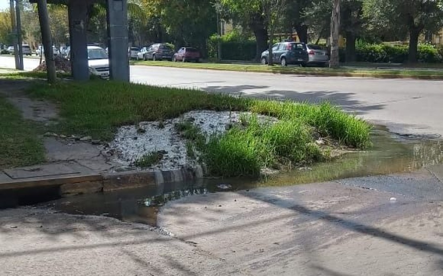 Un desborde cloacal inunda de problemas a los vecinos de 19 y 530