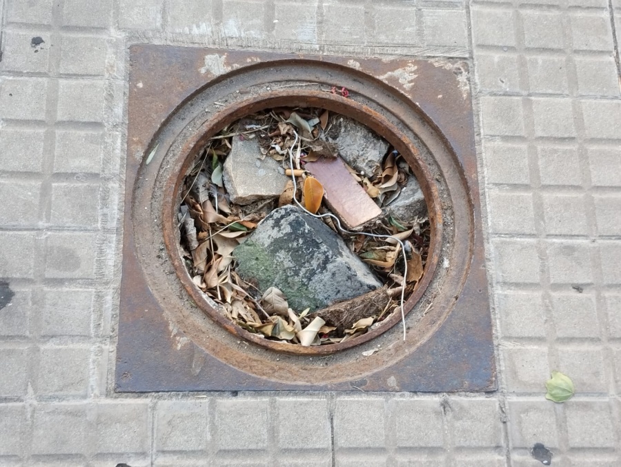 ”Se roban las tapas de las alcantarillas y se tapan con mugre”: el reclamo de los vecinos de la calle 45 entre 12 y 13