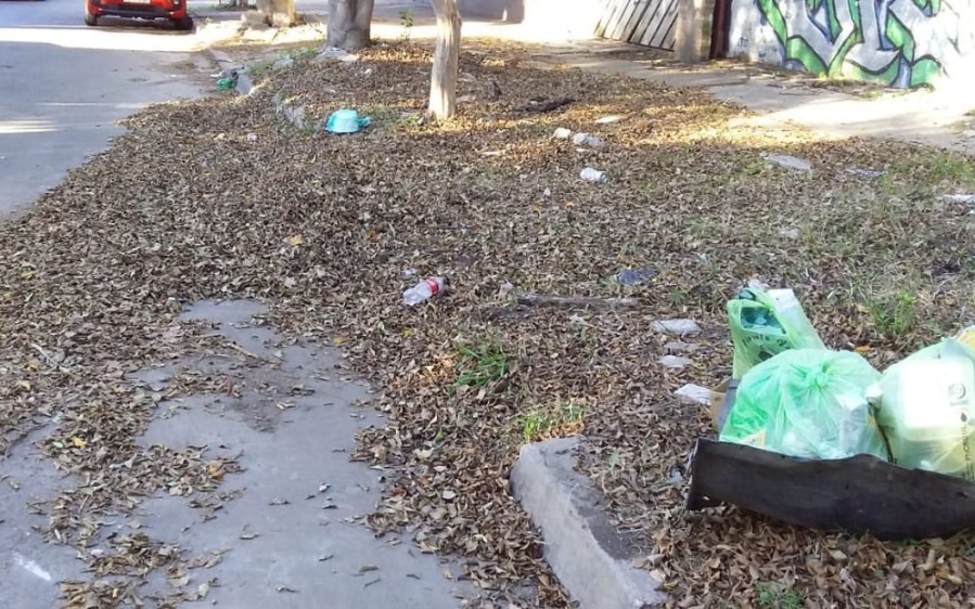 Vecinos de calle 43 y 27 reclaman por la recolección de basura