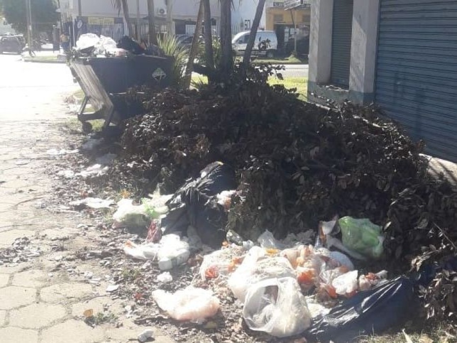 Basural a cielo abierto en pleno cruce de avenidas platenses: La realidad de los vecinos en 44 y 122