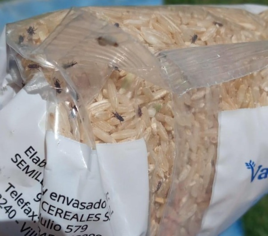 Escándalo en Berisso: desde el municipio de Fabián Cagliardi entregaron alimentos en mal estado y con gorgojos