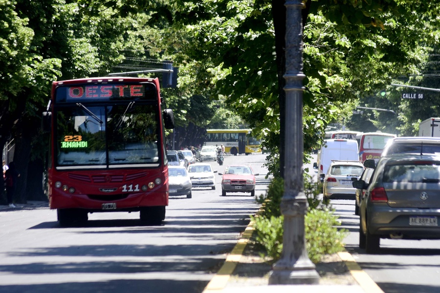 Transporte, recolección y estacionamiento: así funcionarán los servicios en La Plata durante el feriado del sábado