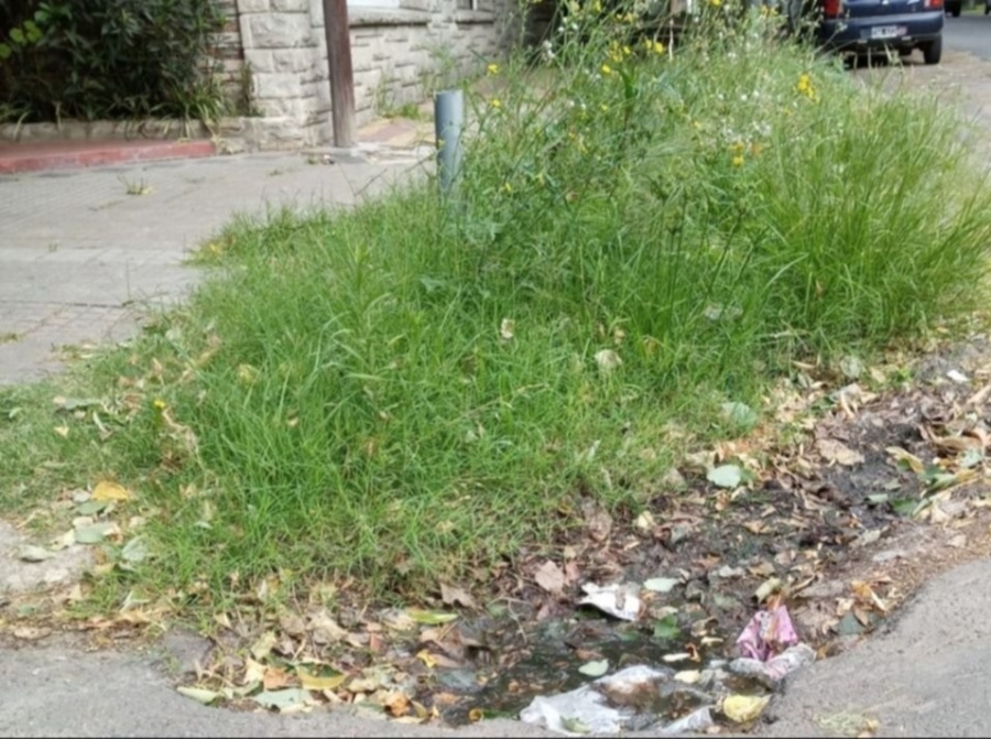 Vecinos reclaman por una esquina ”abandonada” en la zona de 43 y 116