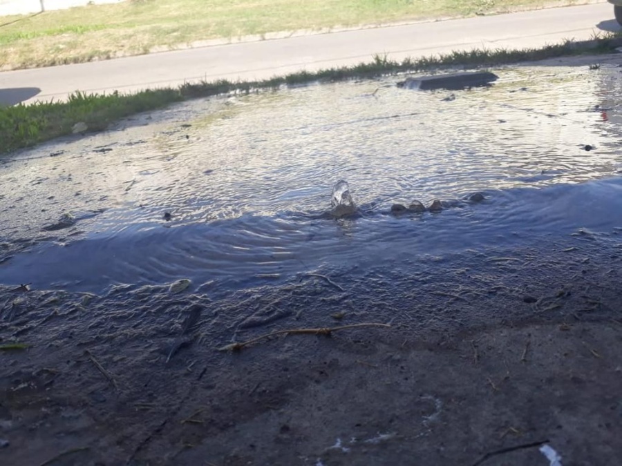 “Mi auto queda en la calle porque la pérdida de agua me impide entrarlo”: desesperado reclamo de un vecino de Los Hornos