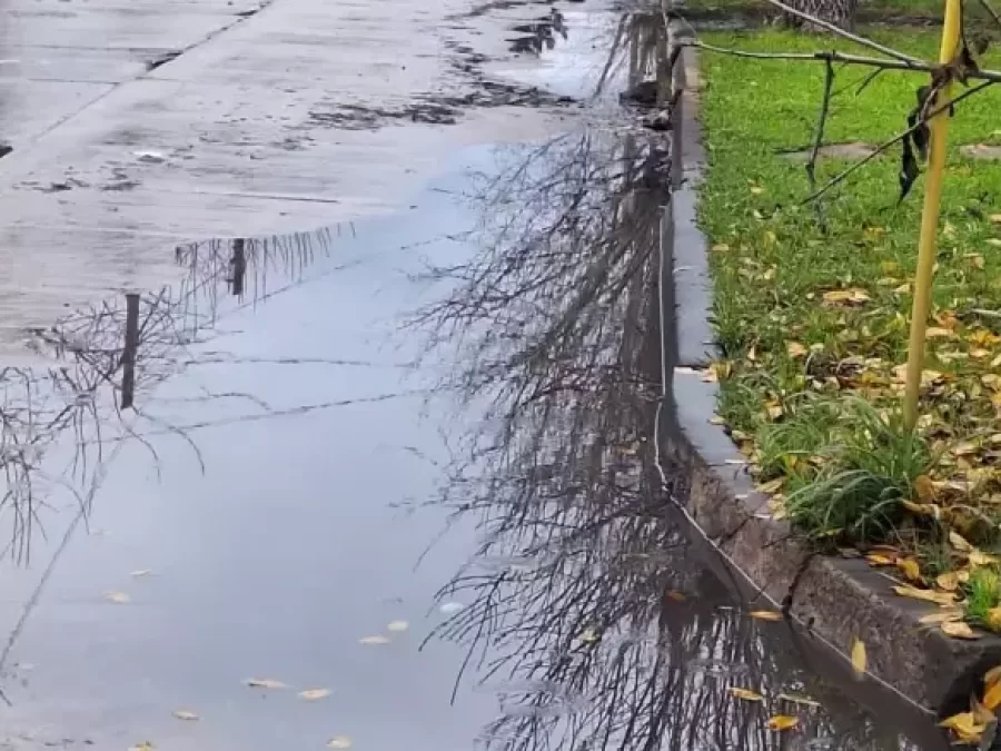 Crecen las quejas por desechos cloacales en plena calle en Berisso: ”Convivimos a diario con esta inmundicia”