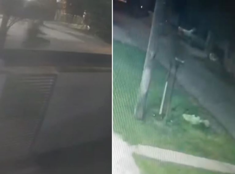 Un joven en La Plata fue interceptado por dos motochorros que robaron su bicicleta