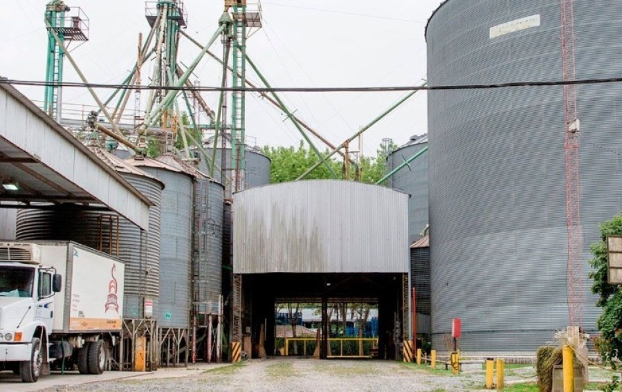 Un empleado de una avícola de la región fue golpeado en un violento asalto