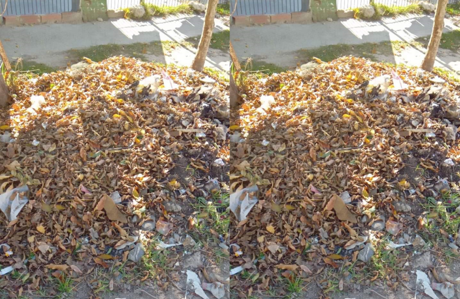 Vecinos de Berisso se quejaron por la cantidad de basura acumulada