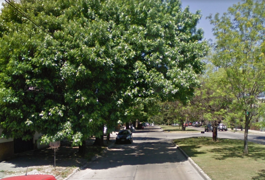 Vecinos reclaman la poda de árboles de Avenida 19