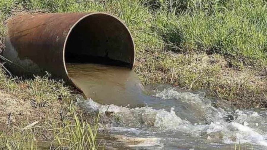 Desechos cloacales en un arroyo preocupa a los vecinos de City Bell