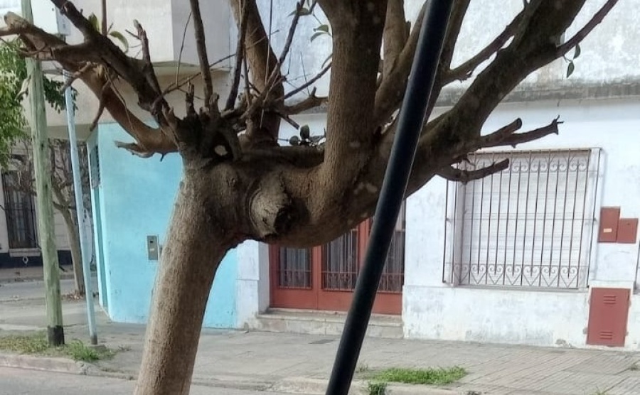 Frentistas de Tolosa reclaman que ladrones roban cables y los dejan colgando en plena calle