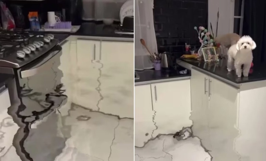 Le mandó videos a su madre de la cocina ”inundada” y su reacción se volvió viral: ”Me voy a desmayar de los nervios”