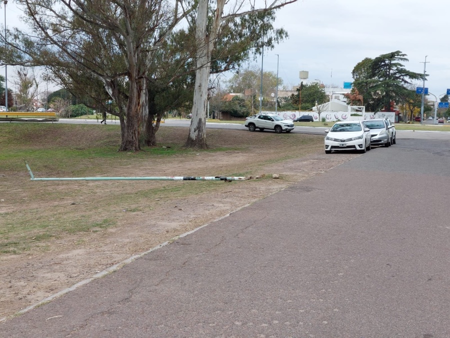 Un grupo de delincuentes tiró varios postes y robó las luces cerca de un establecimiento educativo en La Plata