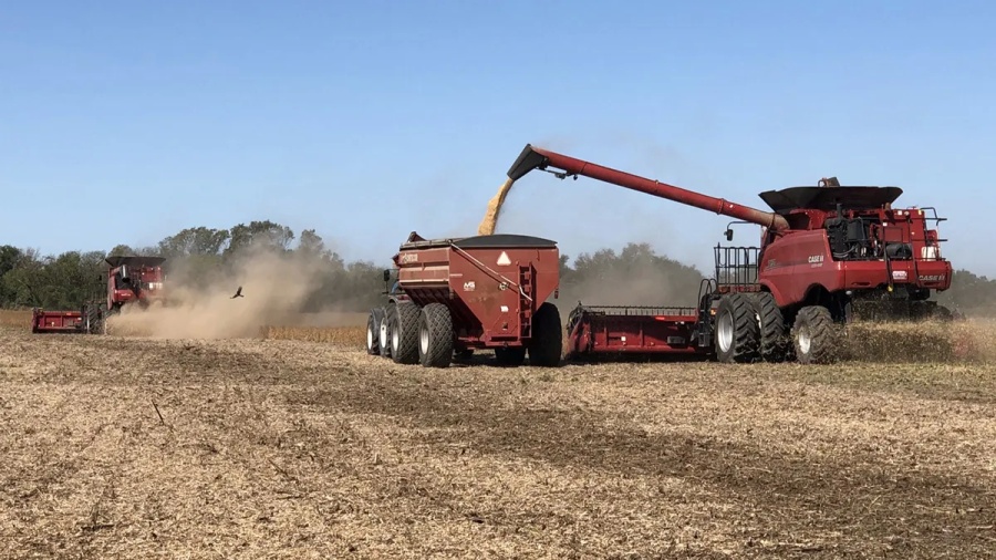 Se estima que Argentina liderará el crecimiento en América Latina y se ubica por encima del promedio proyectado
