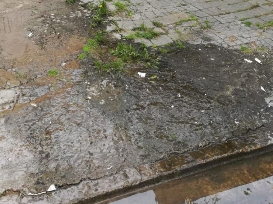 Recurrentes reclamos por una importante pérdida de agua en un barrio de La Plata