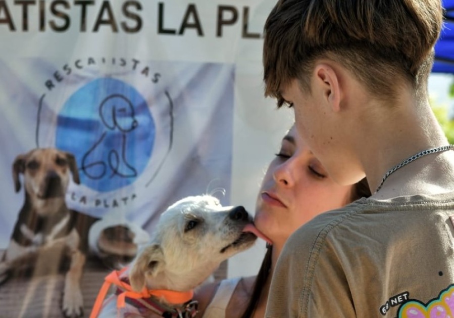 Reconocen como actividad de interés municipal las jornadas de adopción en Plaza Malvinas
