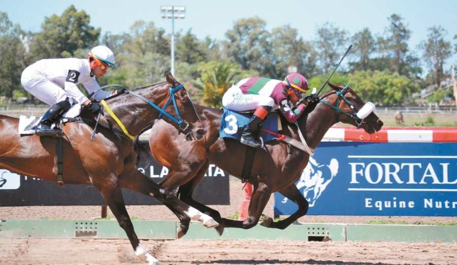 Se levantó la medida de fuerza en el Hipódromo de La Plata