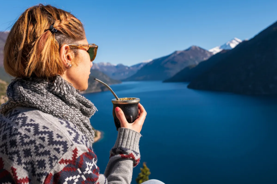 Empresarios turísticos pidieron que se continúe con el PreViaje: “El turismo ha adquirido un lugar en la economía nacional”