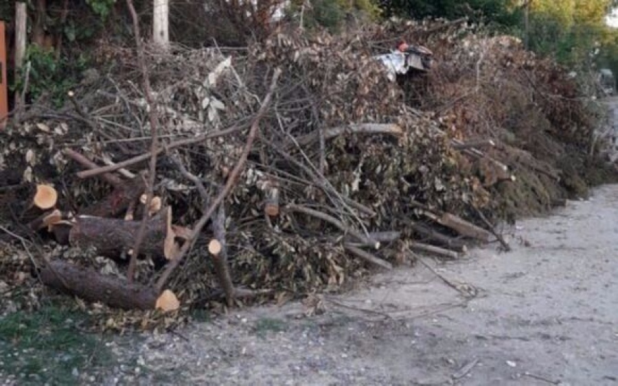 En Villa Elisa piden que se cumpla con el servicio de recolección de basura