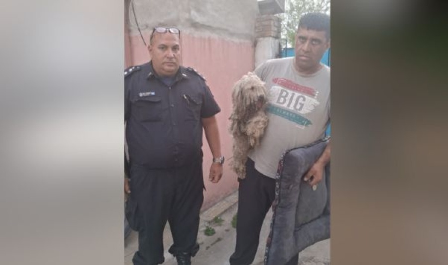 Rescataron a un perro en estado de abandono tras un allanamiento ordenado por la Justicia