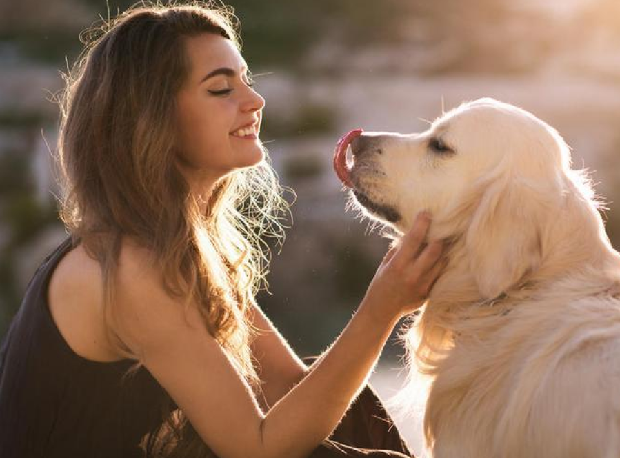 Jugar o acariciar a perros podría generar ondas cerebrales de ”relajación” en las personas