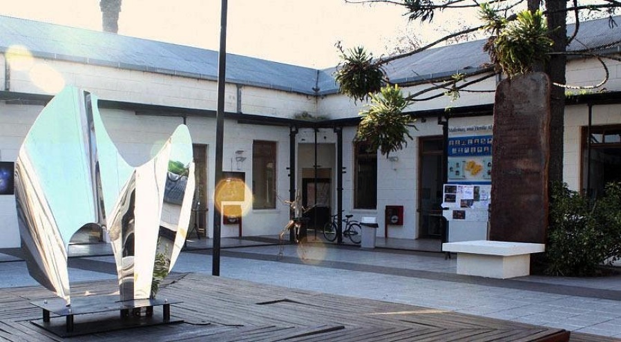 ”Mirada Animal”, la innovadora muestra del Centro Cultural Islas Malvinas