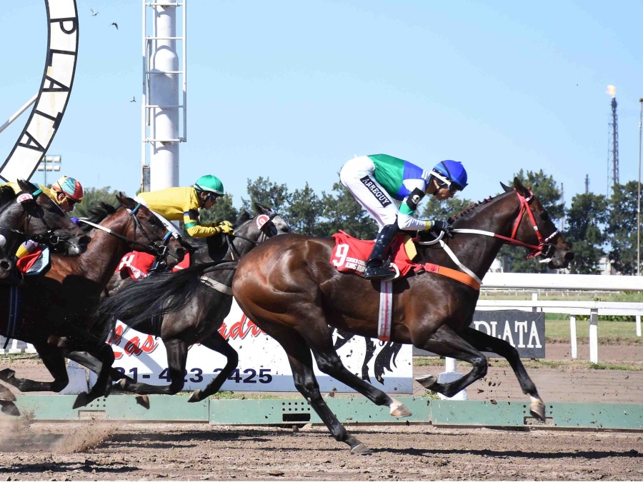 Se levantó la medida de fuerza en el Hipódromo de La Plata y a partir del próximo jueves se reanudarán las competencias