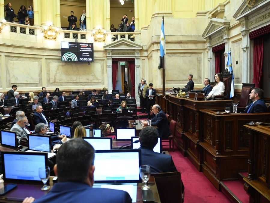 El Senado dejó sin efecto el veto de Javier Milei y es Ley la Emergencia en Discapacidad