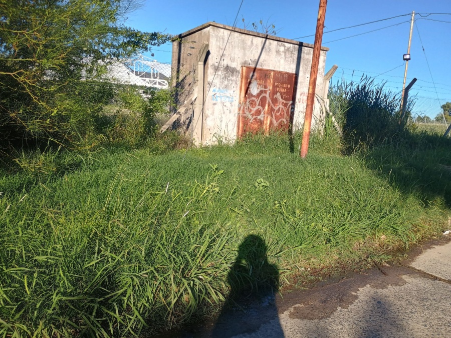 Reclaman por la falta de mantenimiento de un lado del Estadio Único: ”Así van un montón de chicos a hacer educación física”