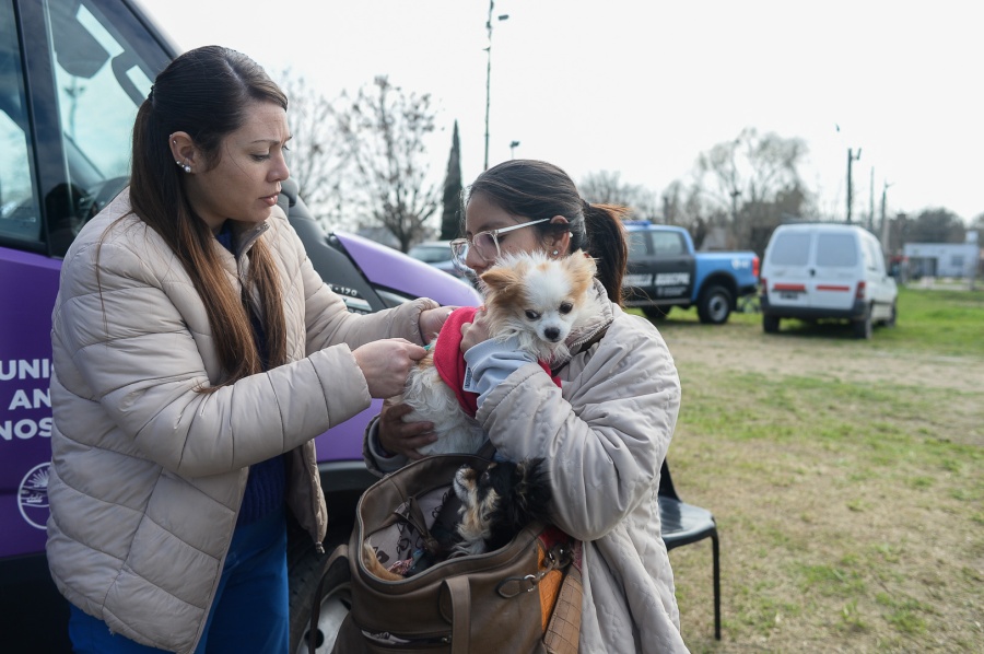 ”Nos vemos en el barrio”: acercarán servicios esenciales, talleres, asesoramiento y espectáculos a los vecinos de Villa Elisa