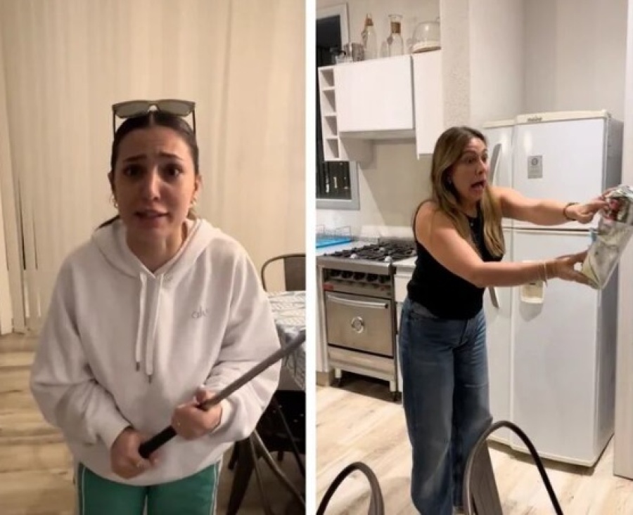 Alquilaron una casa en la playa y se encontraron con tremenda sorpresa: ”si eso me pica, me arruina la vida”