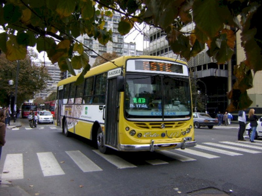 Proyectan cambios en el sistema de transporte: los nuevos recorridos de micros que podrían aplicarse en cuatro meses