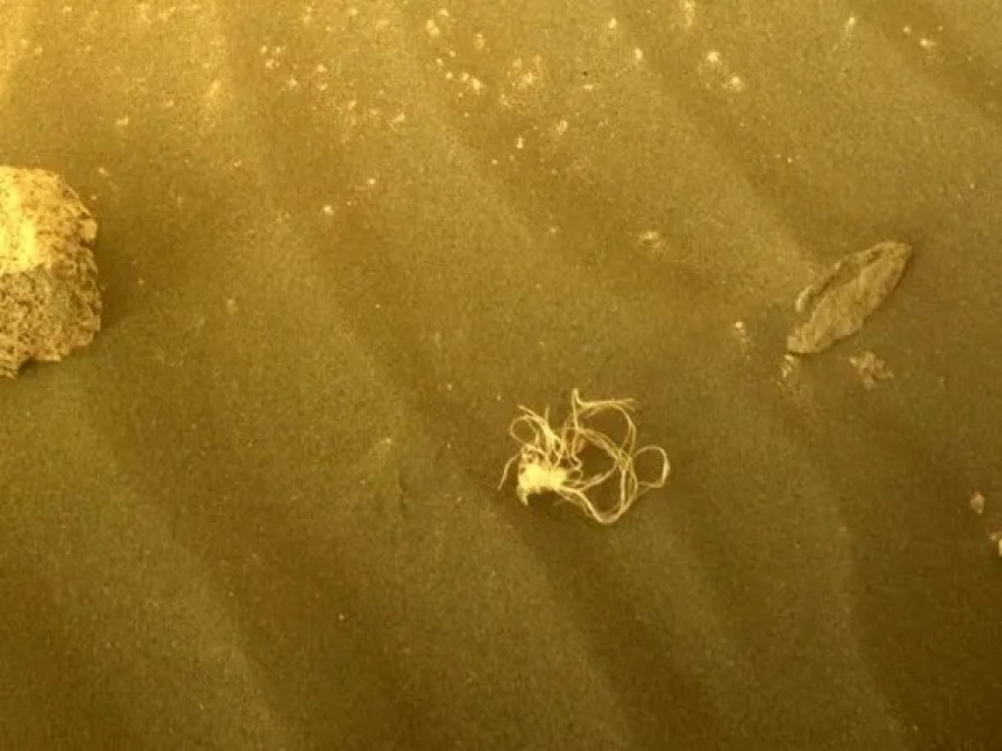 ¿Un ”Spaghetti” en Marte? La NASA compartió un extraño objeto parecido a un fideo