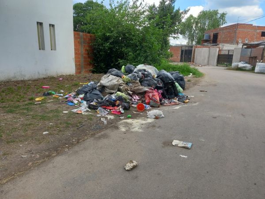 En 73 y 152, reclamaron por la falta de recolección de residuos: ”Es insoportable el olor”