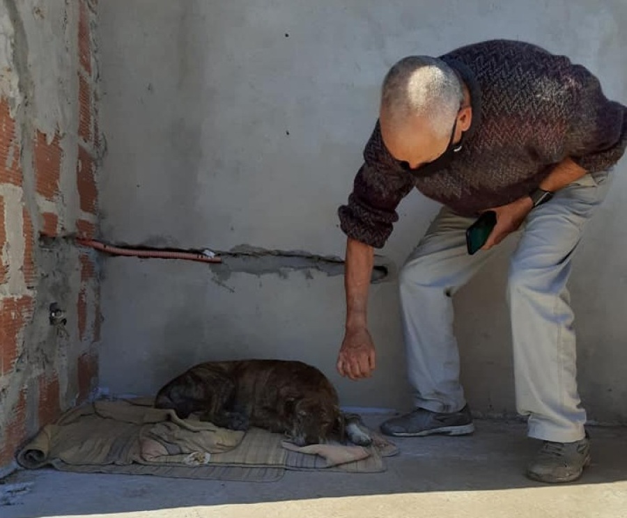 Buscan ayuda para un platense que vive en la calle junto a su perro Piluchin y se accidentó vendiendo café