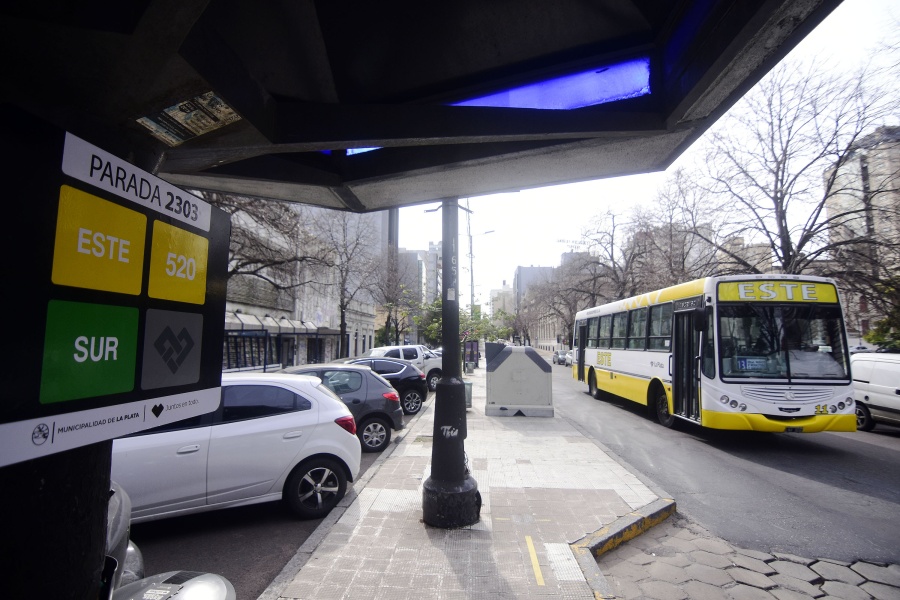 El domingo de las PASO el transporte público de colectivos será gratuito en La Plata