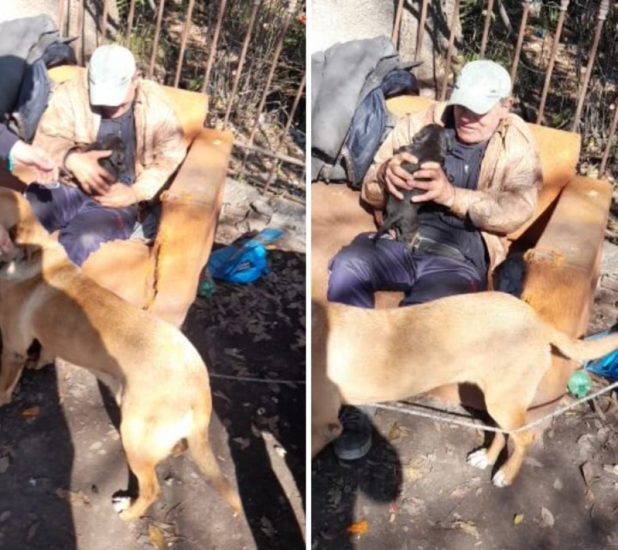 ”Tiene todo el amor del mundo”, un platense en situación de calle cuida perros callejeros hasta que encuentren un hogar