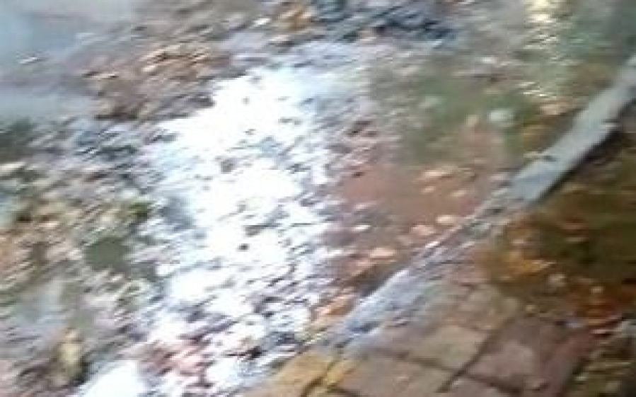 Vecinos de 2 entre 55 y 56, preocupados por una pérdida de agua “escandalosa”