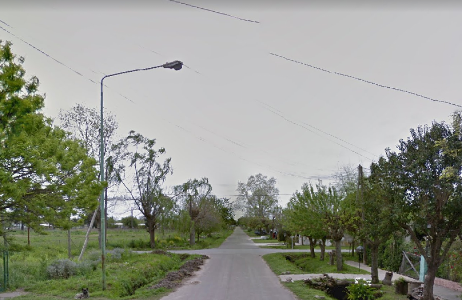 Vecinos de Los Hornos reclamaron por el estado de las luminarias: “Están llenas de bichos y hojas”