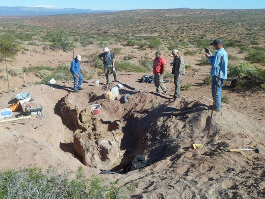 Un grupo de científicos confirmó el hallazgo de una nueva especie de dinosaurio que vivió hace 86 millones de años en Neuquén