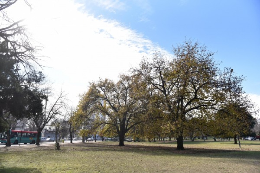La muñeca Martina, el juguete tenebroso que marcó de por vida a un cartonero platense en el Parque San Martín