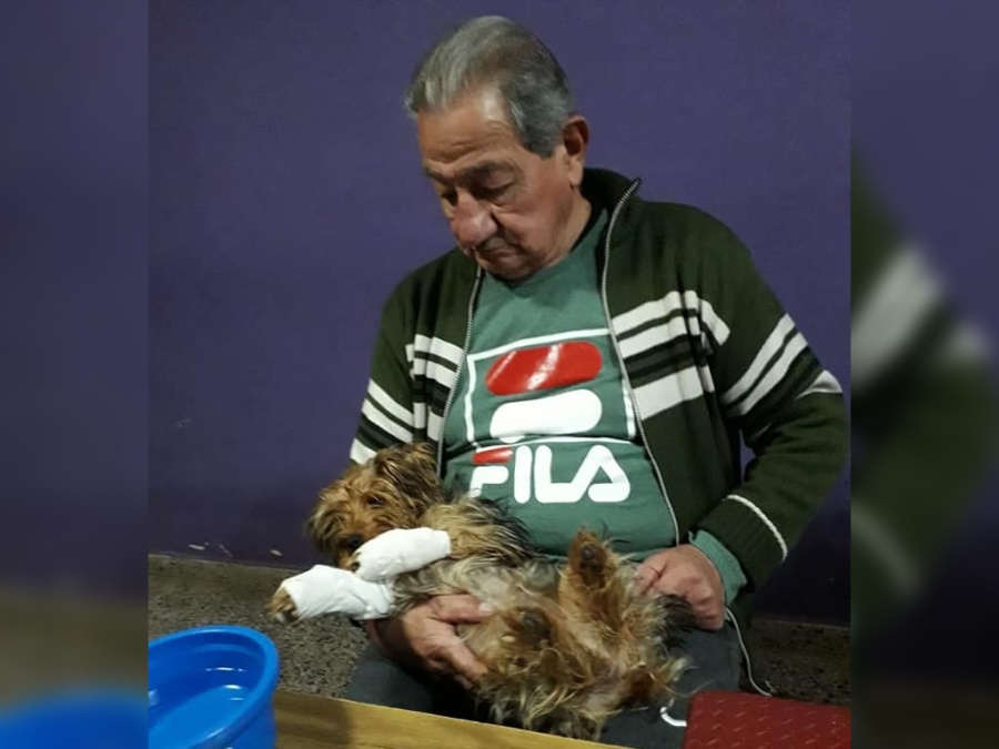 La ”bebé” de sus papás se quebró dos patas, deben operarla el viernes y no tienen el dinero: “Son jubilados, no les alcanza”