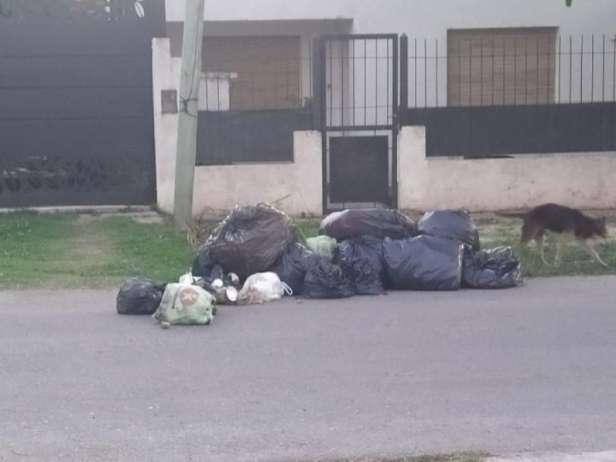 En 160 y 65, los vecinos reclamaron por la falta de recolección de residuos: ”No pasa el camión”
