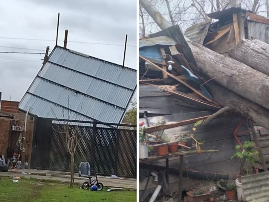 Las fuertes ráfagas de viento dejaron en La Plata árboles caídos y techos volados
